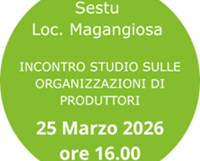 Incontro studio sulle organizzazioni di produttori