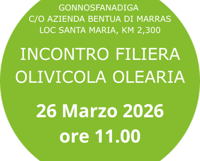 incontro filiera olivicola