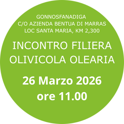 incontro filiera olivicola