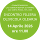 incontro olivicola