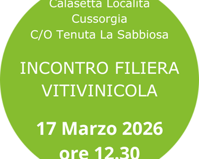 filiera vitivinicola