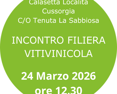 Filiera vitivinicola